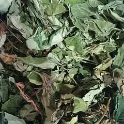 100 г медунка лікарська трава сушена - свіжий урожай