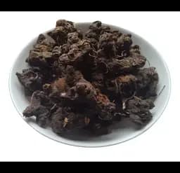 Калган Корінь Перстач Балабан Пятипал Деревянка Potentilla erecta - мініатюра 1