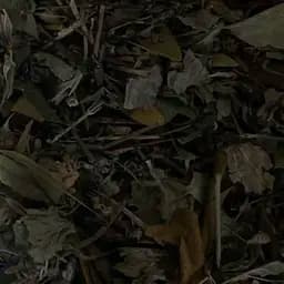 Сбор травяной кровоочистительный для чистки сосудов, 100 г, (Свое производство)