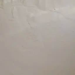 100 г плаун булавовидный ликоподий/споры  - свежий урожай