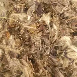 100 г прострел раскрытый/сон-трава сушеная - свежий урожай