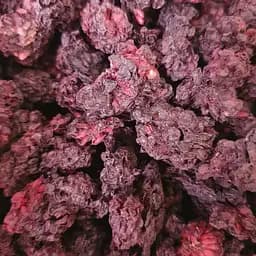 100 г ежевика сушеные ягоды/плоды - свежий урожай