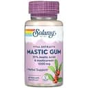 Смола мастикового дерева Solaray Mastic Gum екстракт 500 мг 45 капсул