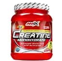 Креатин Amix Creatine Monohydrate 1000 г