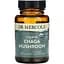 Гриб Чага Dr. Mercola Chaga Mushroom органічний 30 пігулок - мініатюра 1