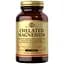 Натуральна добавка Solgar Chelated Magnesium 100 пігулок - мініатюра 1