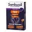 Екстракт чорної бузини, вітамін C і цинк Sambucol Black Elderberry Immuno Forte, 20 пастілок для підтримки імунної системи - мініатюра 1