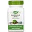 Корінь лопуха Nature's Way Burdock Root 950 мг 100 капсул - мініатюра 1