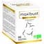 Комплекс Nutriexpert Максибюст Био 90 капсул - миниатюра 1