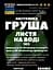 Водна настойка на листі груші, 200 мл - мініатюра 2