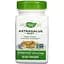 Корінь астрагалу Nature's Way Astragalus Root 470 мг 100 капсул - мініатюра 1