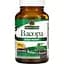 Бакопа Nature's Answer Bacopa 500 мг 90 капсул - мініатюра 1