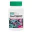 Натуральна добавка Natures Plus Herbal Actives Chasteberry 150 mg, 60 капсул - мініатюра 1