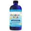 Жирные кислоты Nordic Naturals Children's DHA 530 mg Клубника 473 мл - миниатюра 1