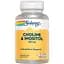 Холін та інозитол Solaray Choline & Inositol 100 капсул - мініатюра 1