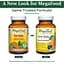 Мультивітаміни MegaFood One Daily 60 таблеток - мініатюра 5