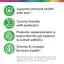 Вітамінно-мінеральний комплекс Rainbow Light Kid's One Daily Multivitamin для дітей з фруктовим смаком 90 жувальних таблеток - мініатюра 6