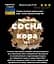 Настоянка на корі сосни 200 мл - мініатюра 3