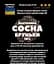 Настоянка на бруньках сосни 200 мл - мініатюра 3