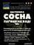 Водна настоянка на пагонах сосни 200 мл - мініатюра 2
