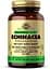 Натуральная добавка Solgar Full Potency Herbs Echinacea, 100 вегакапсул - миниатюра 1