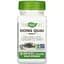 Корінь дягелю Nature's Way Dong Quai Root, 100 вегакапсул для підтримки жіночого здоров'я - мініатюра 1